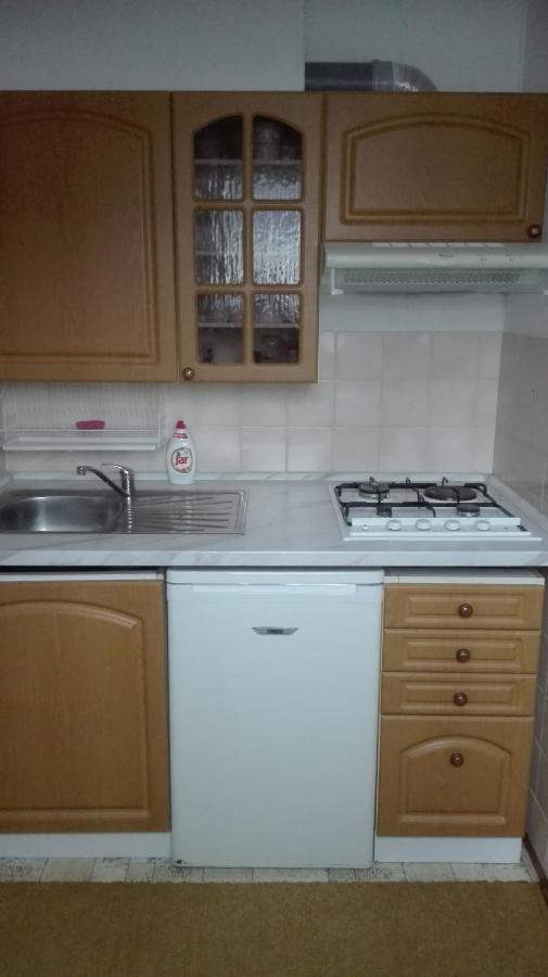 Ubytovani V Apartmanu Mladkov Екстериор снимка